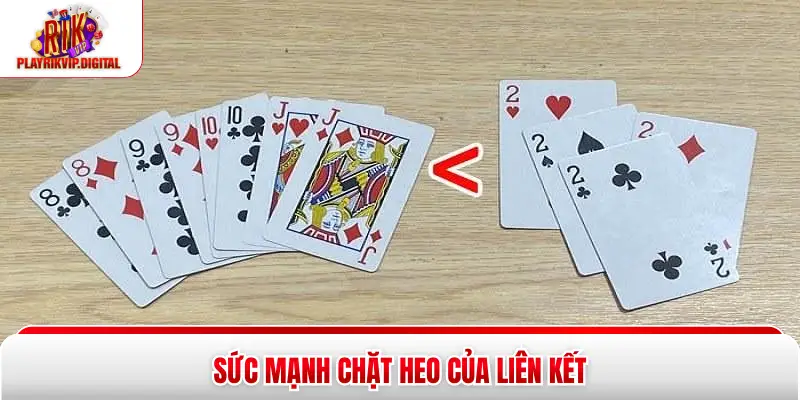 3 Đôi Thông Là Gì Giải Mã Tại Rikvip Mới Nhất 2026 Sức mạnh chặt heo của liên kết